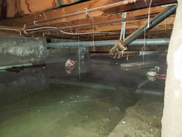 Best Ceiling water damage repair  in Boynton Beach, FL