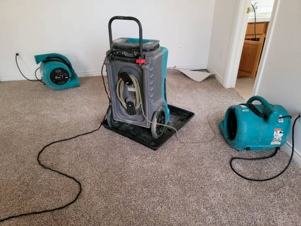 Water damage restoration insurance claims in FL