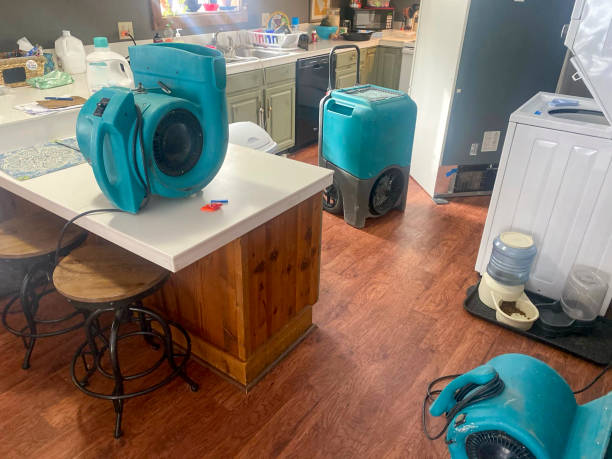 Best Flooded house restoration  in Boynton Beach, FL