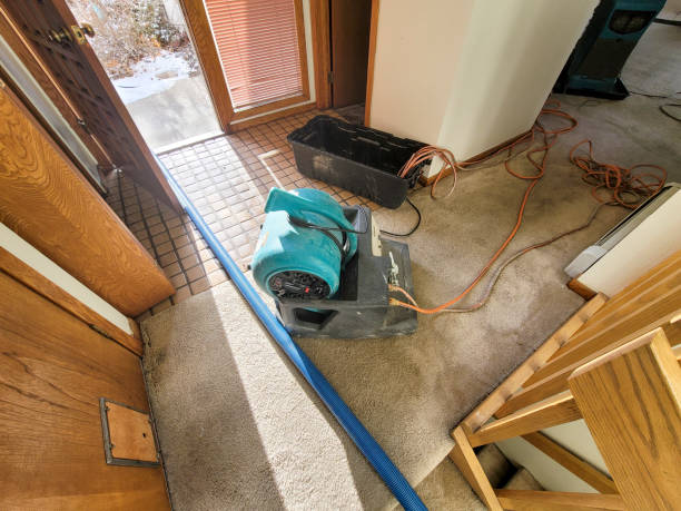 Best Water damage restoration near me  in Boynton Beach, FL