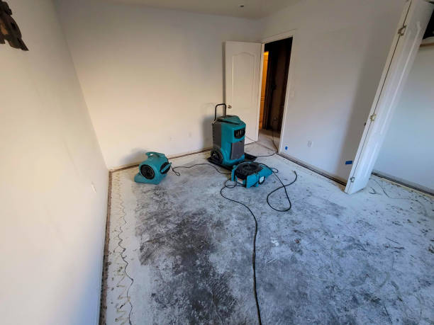 Best Flood restoration services  in Boynton Beach, FL