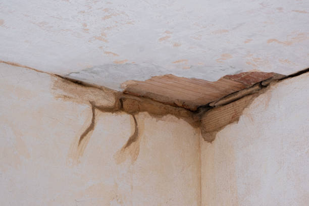 Best Water damage restoration experts  in Boynton Beach, FL