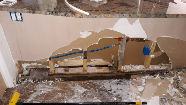 Water damage restoration experts in FL