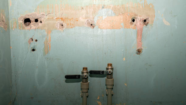 Best Emergency water damage restoration  in Boynton Beach, FL