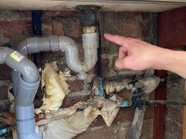 Best Professional water damage repair  in Boynton Beach, FL