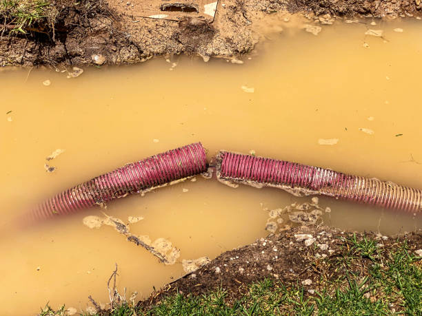 Best 24/7 water damage repair  in Boynton Beach, FL